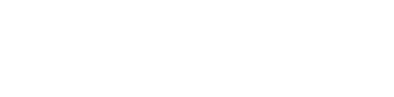 SUNGLASSES サングラス