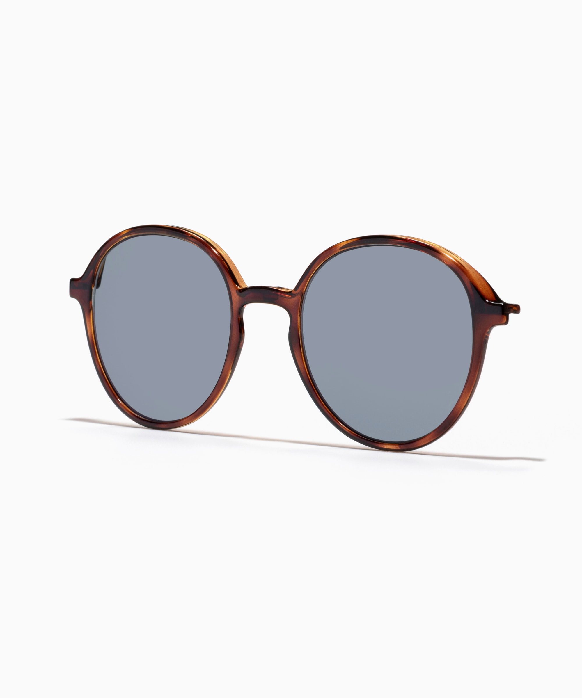 Switch Modern Metal Active Lens Plate オンラインショップ限定