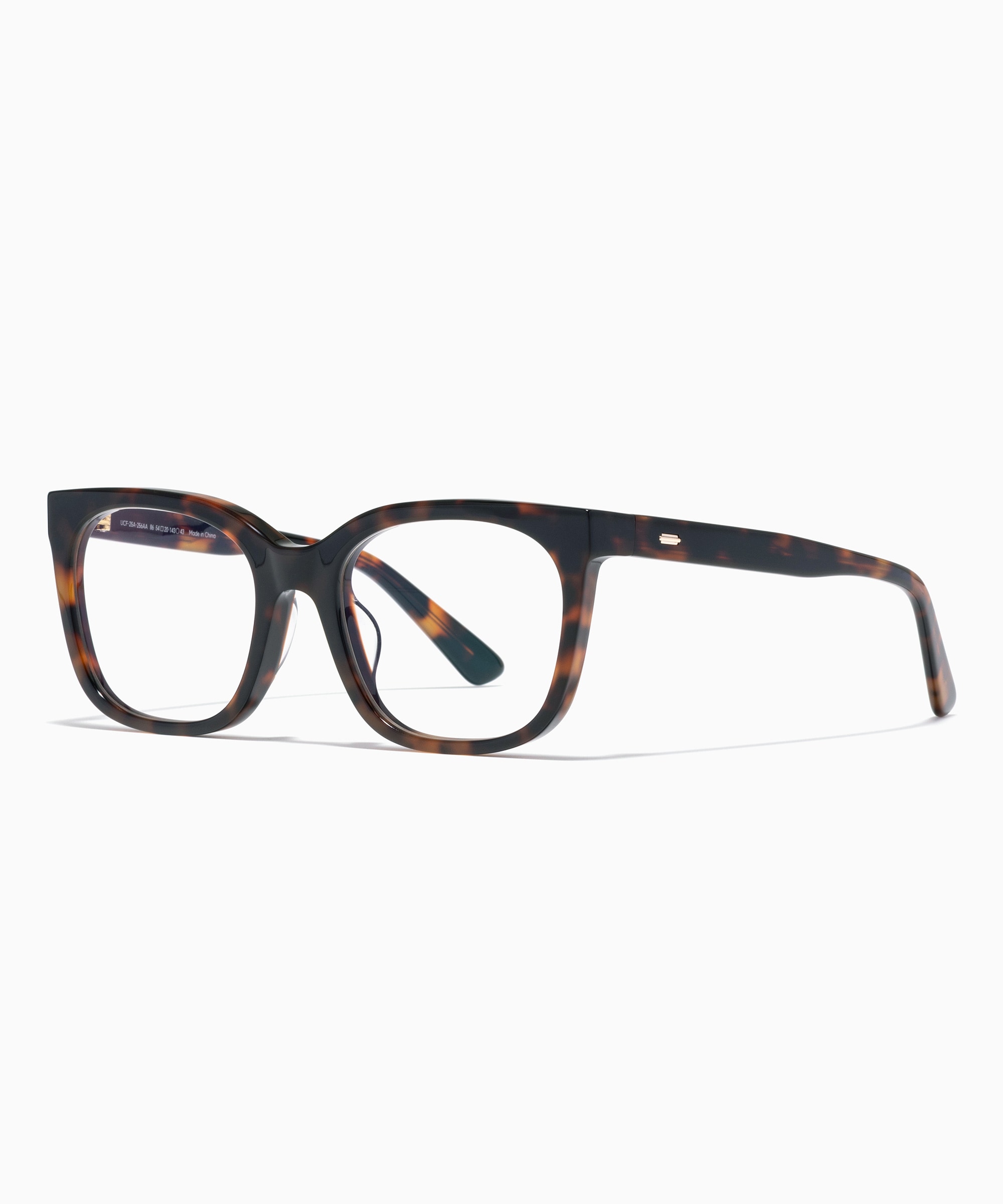 JINS TODAY 2025-26FW