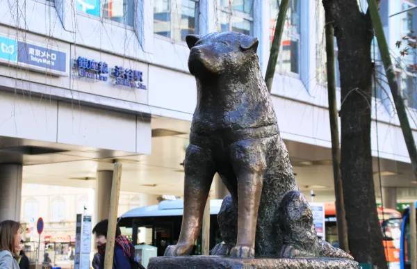 Hachiko