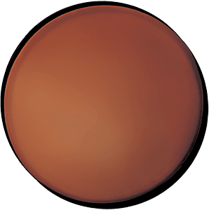 レンズ画像:Brown
