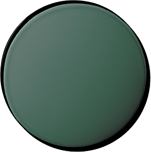 レンズ画像:Grayish Green