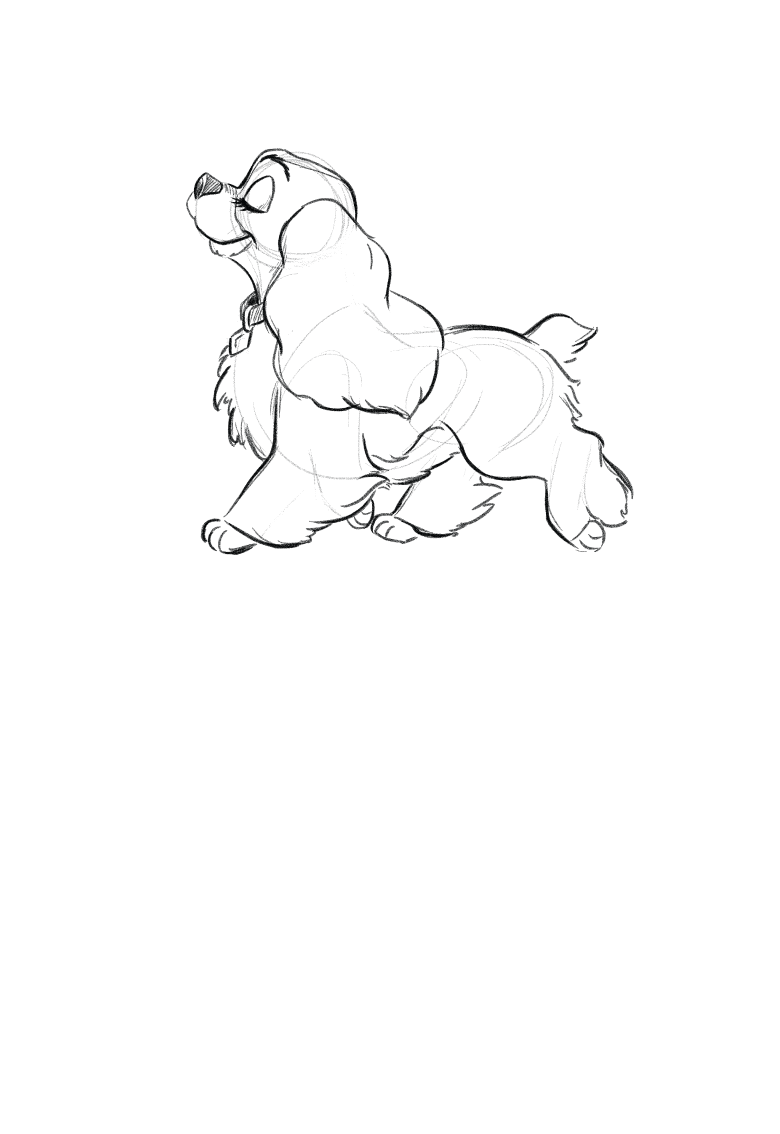 レディモデルタイトルエリア