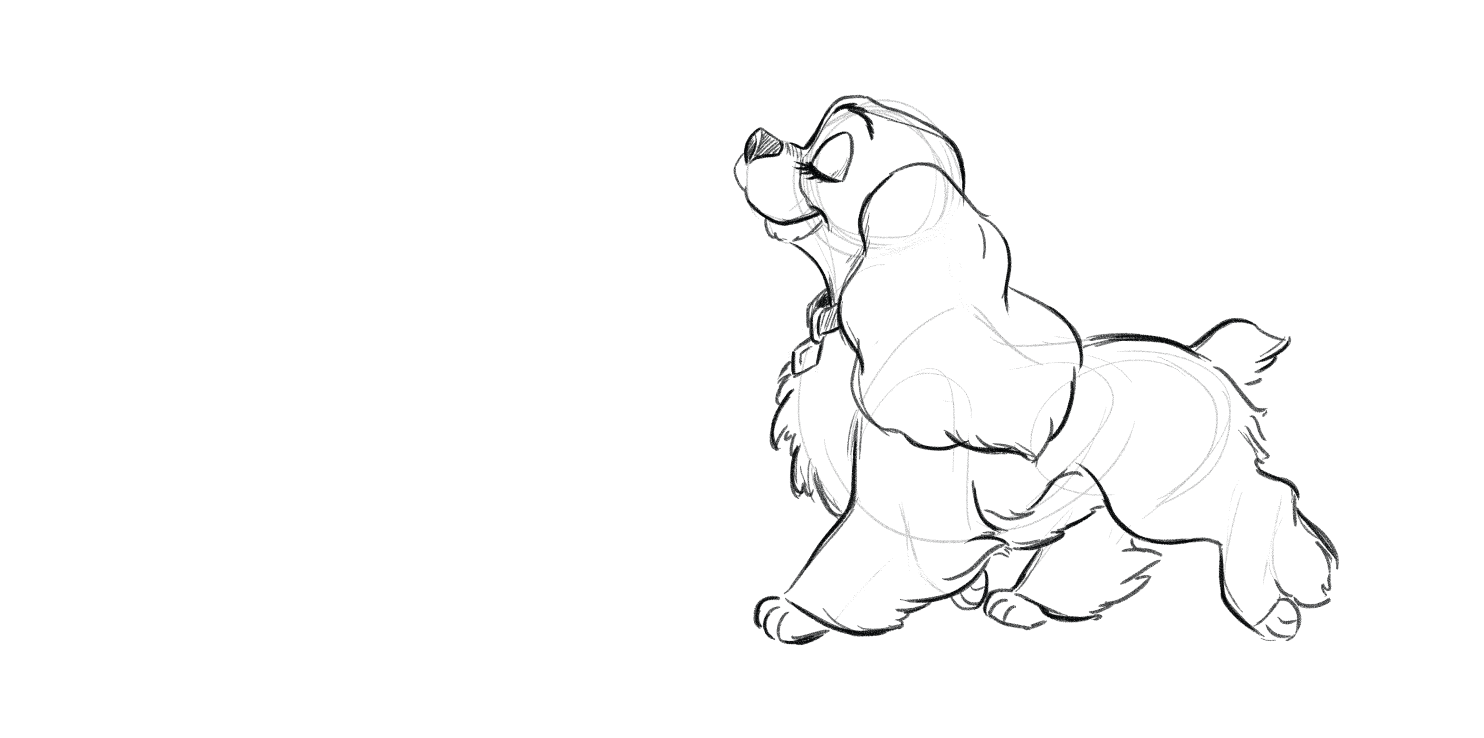 レディモデルタイトルエリア