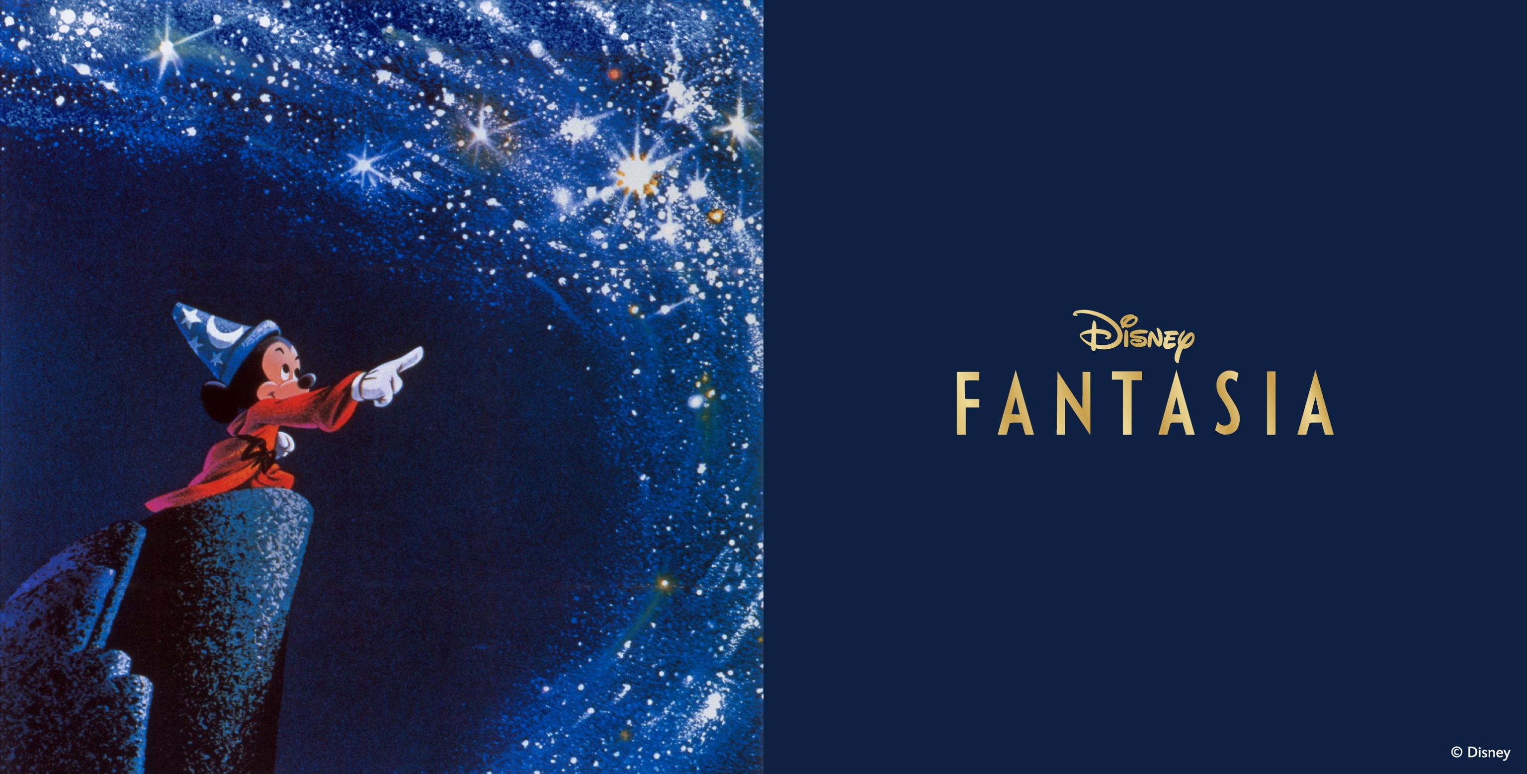 Disney FANTASIA