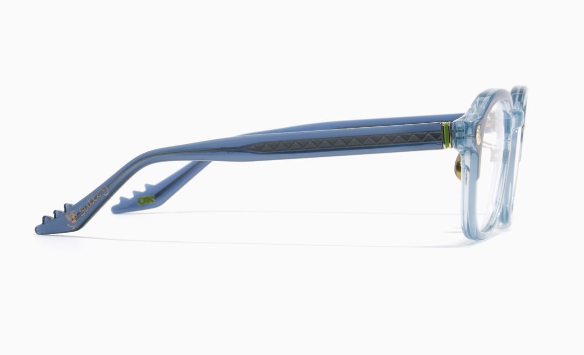 サリーモデルのメガネ 3