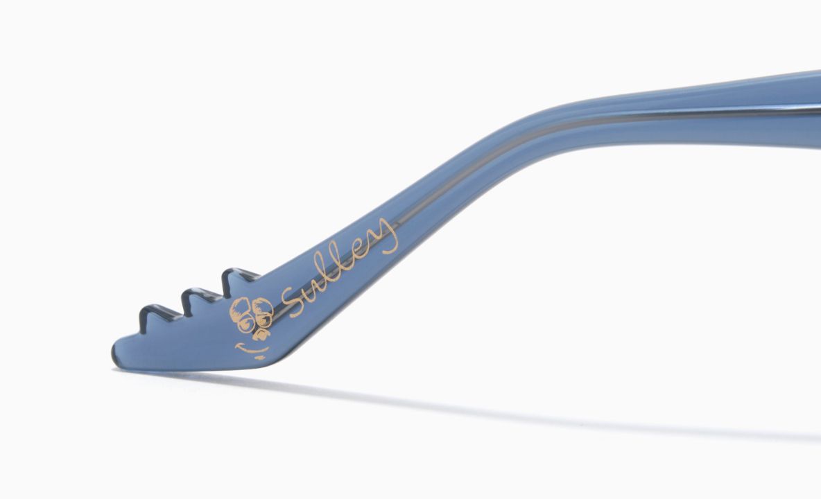 サリーモデルのメガネ 4