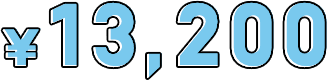 ¥13,200
