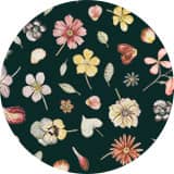 Phyls Flower