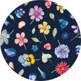 Phyls Flower