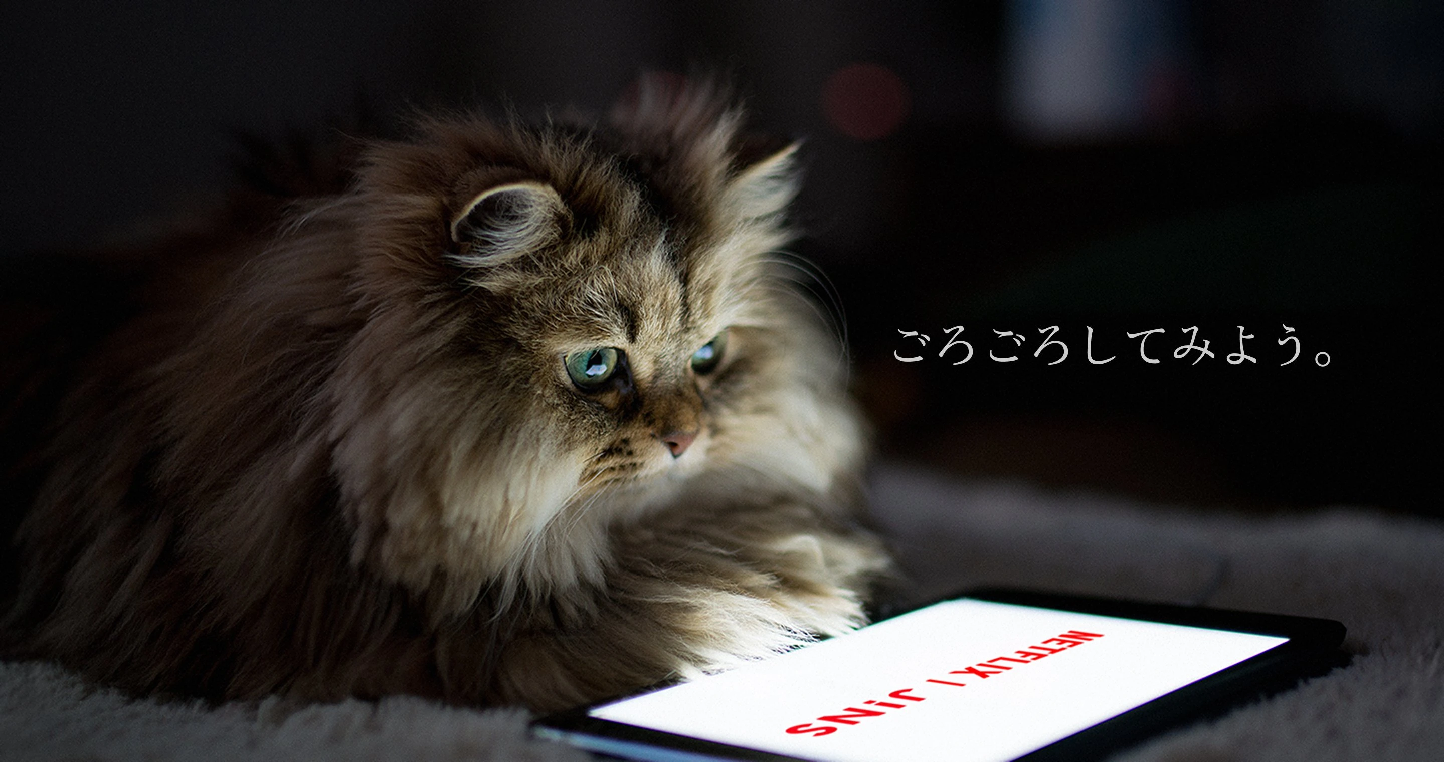 JINS HOME® × Netflix