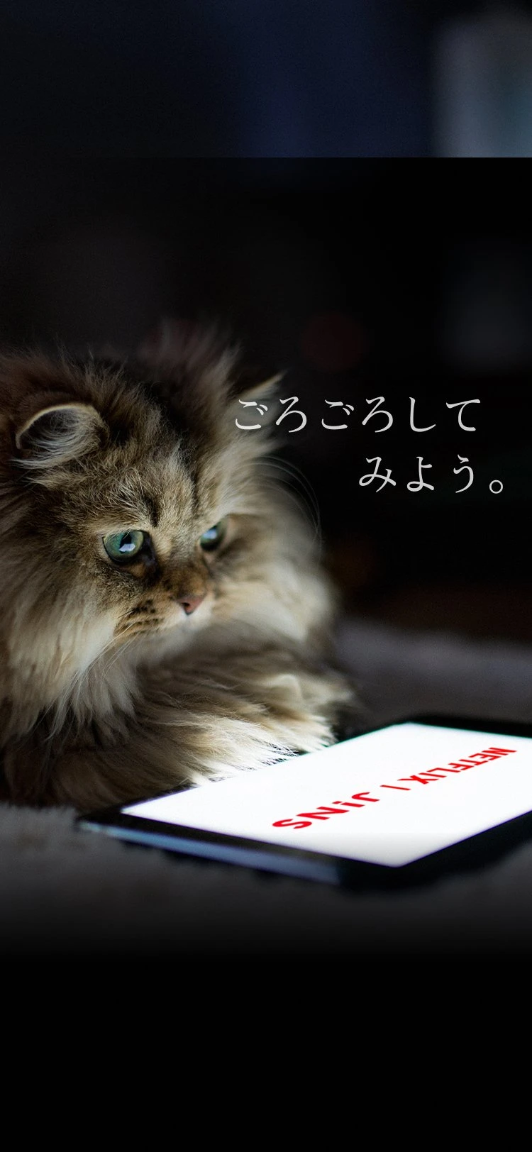 JINS HOME® × Netflix