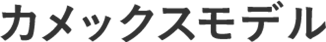 カメックスモデル