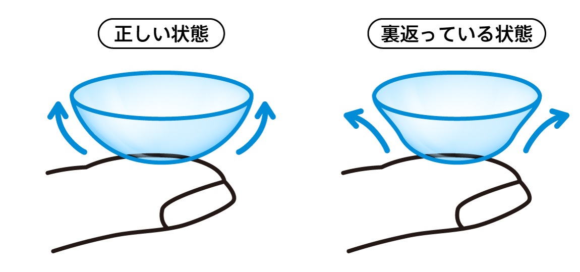 コンタクトレンズの裏表の図解のイラスト