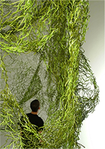 Algues, Vitra, 2004