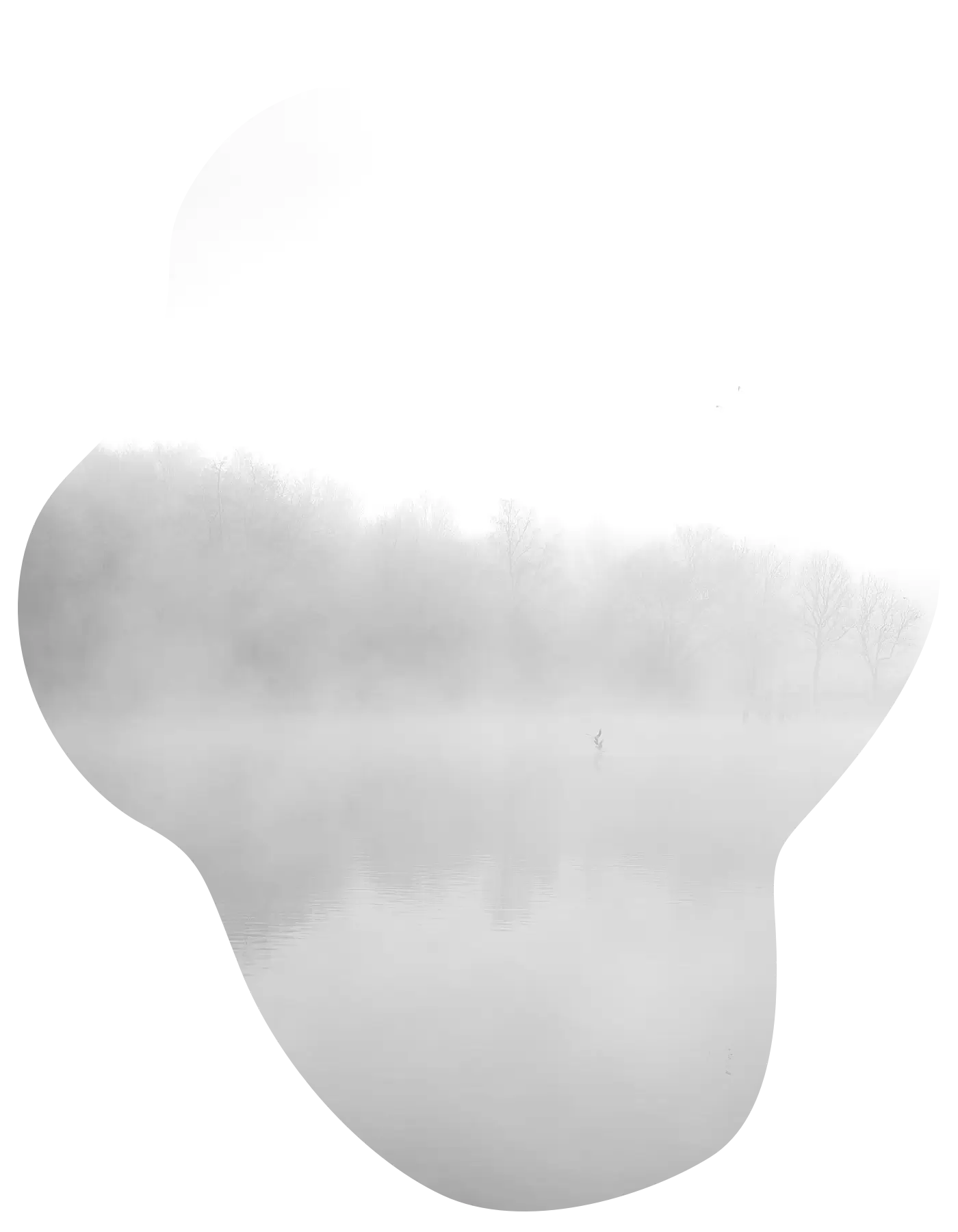 Gray Mistのイメージ画像