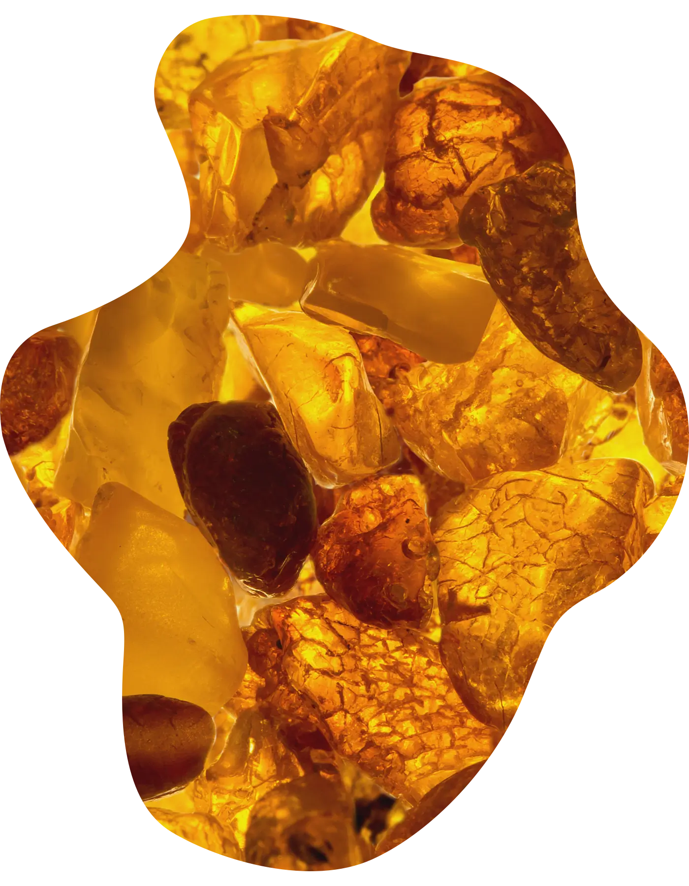 Amber Stoneのイメージ画像