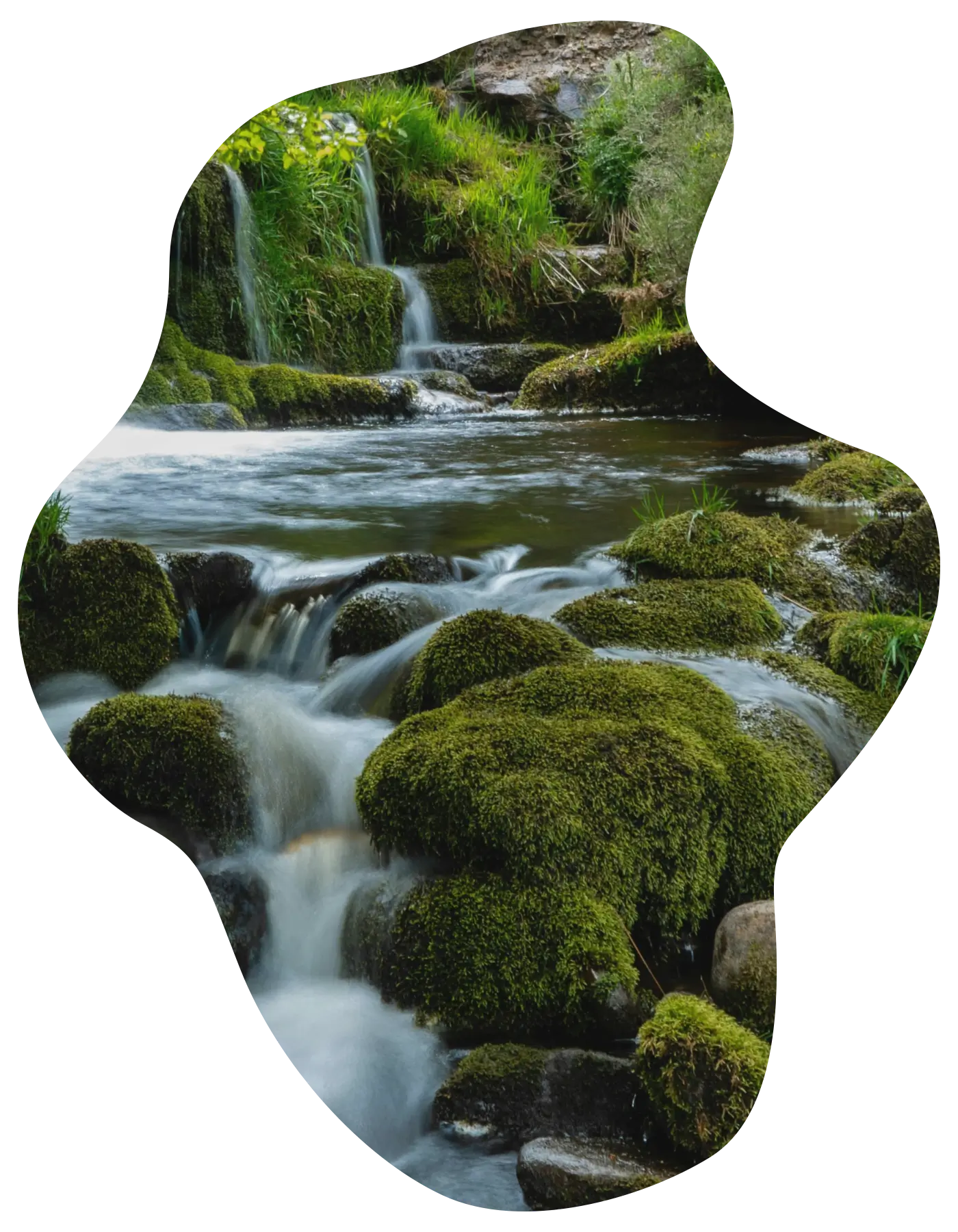 Stream Fernのイメージ画像