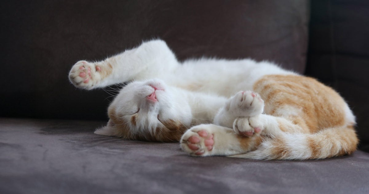 おうち時間に着替えるメガネ JINE HOME®| JINS - 眼鏡（メガネ・めがね）