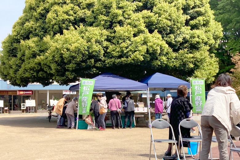 常盤平団地