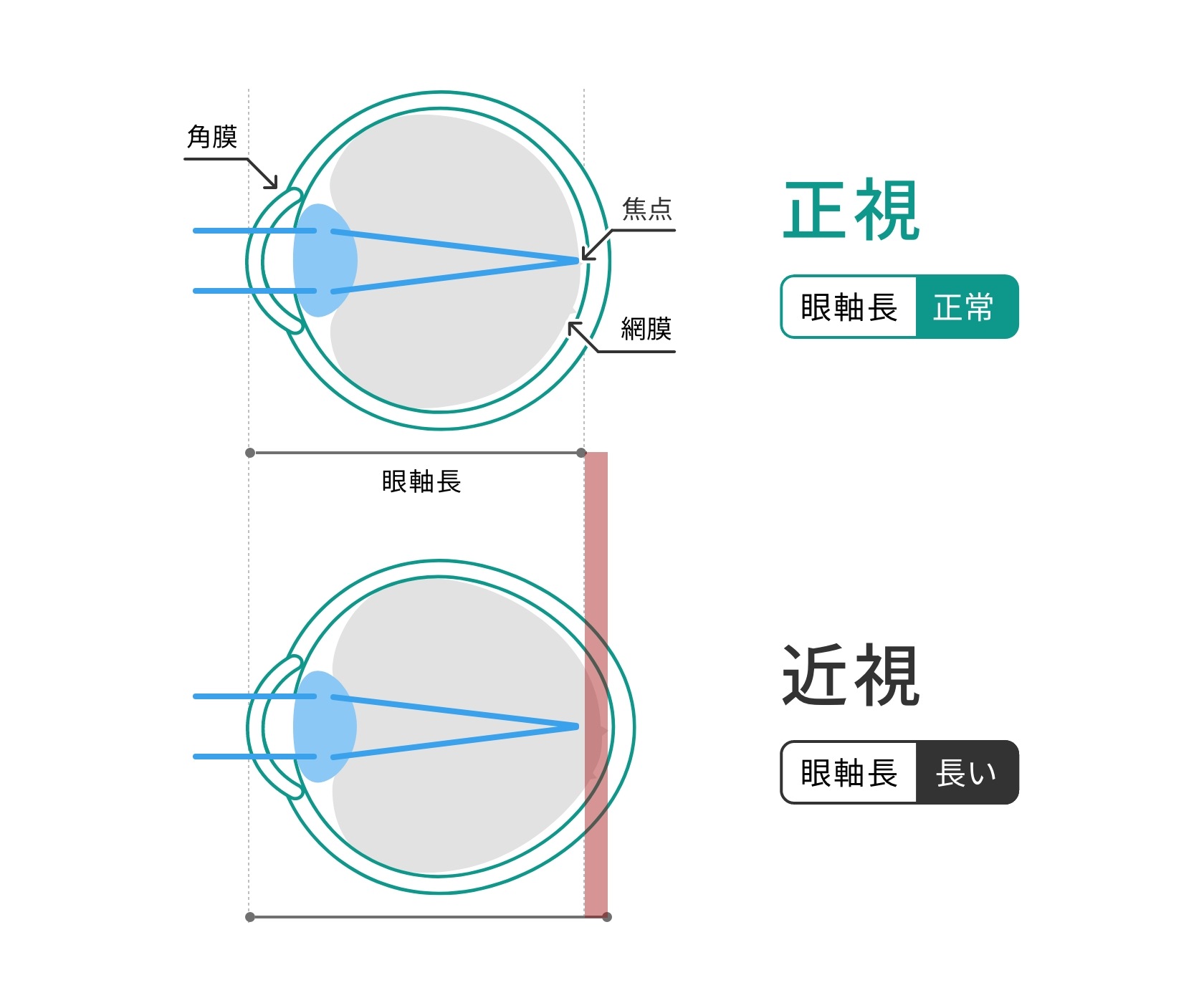 図