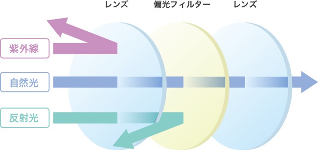 偏光フィルターの反射の様子