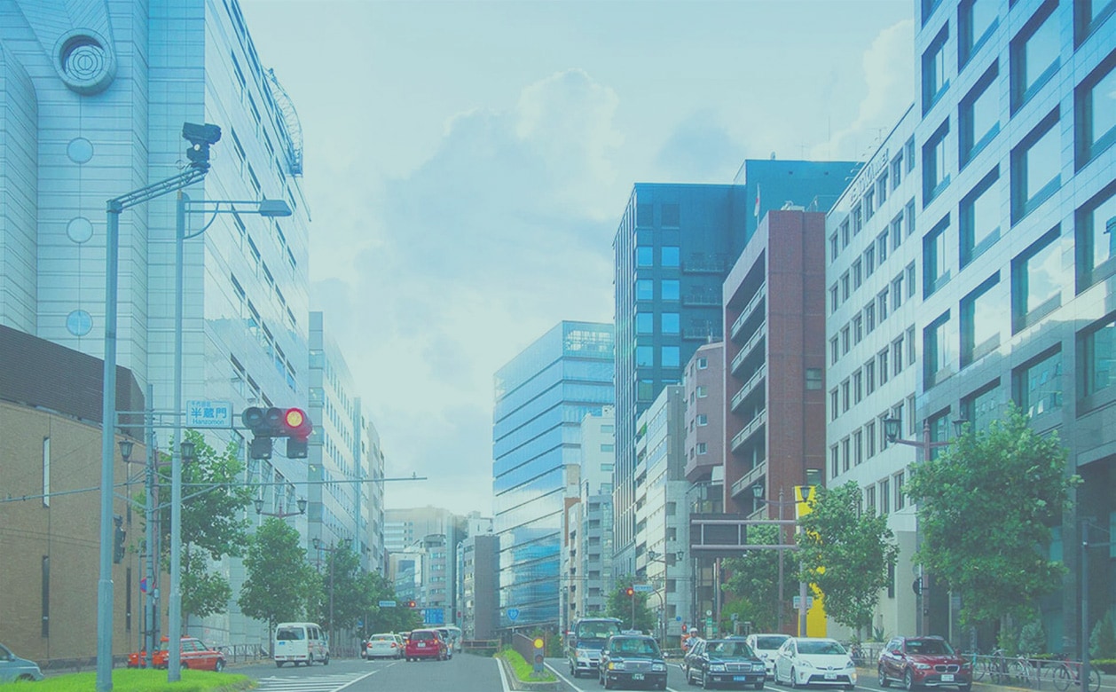 見え方イメージ ベーシックブルー After