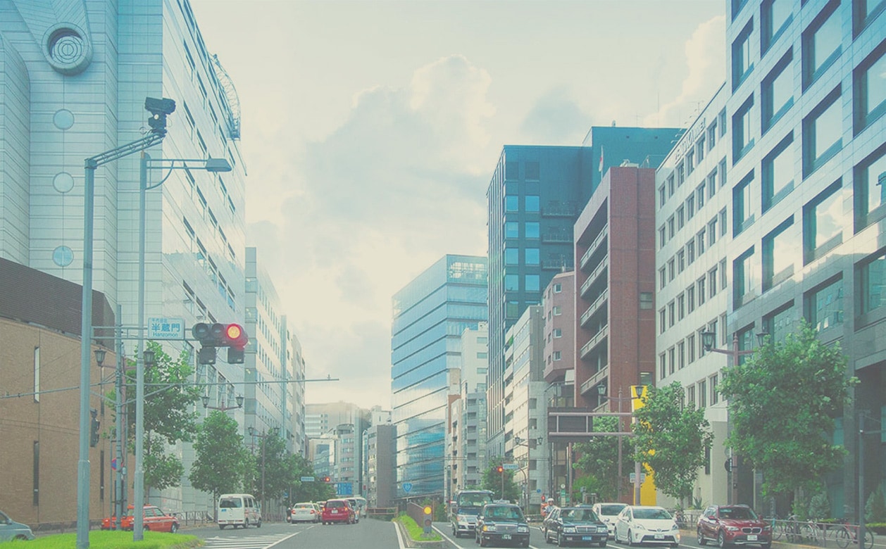 見え方イメージ ベーシックブラウン After