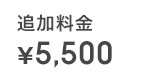 追加料金¥5,500