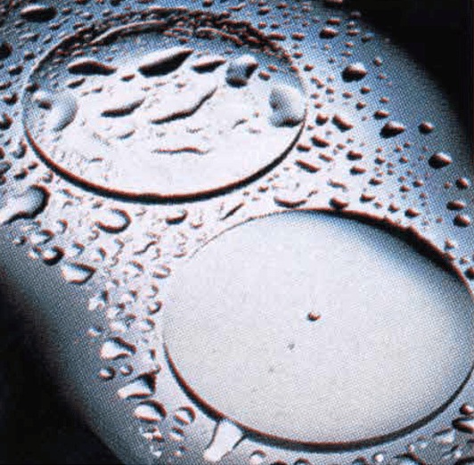 撥水コートレンズ