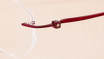 Decorated Rimless Frame01
