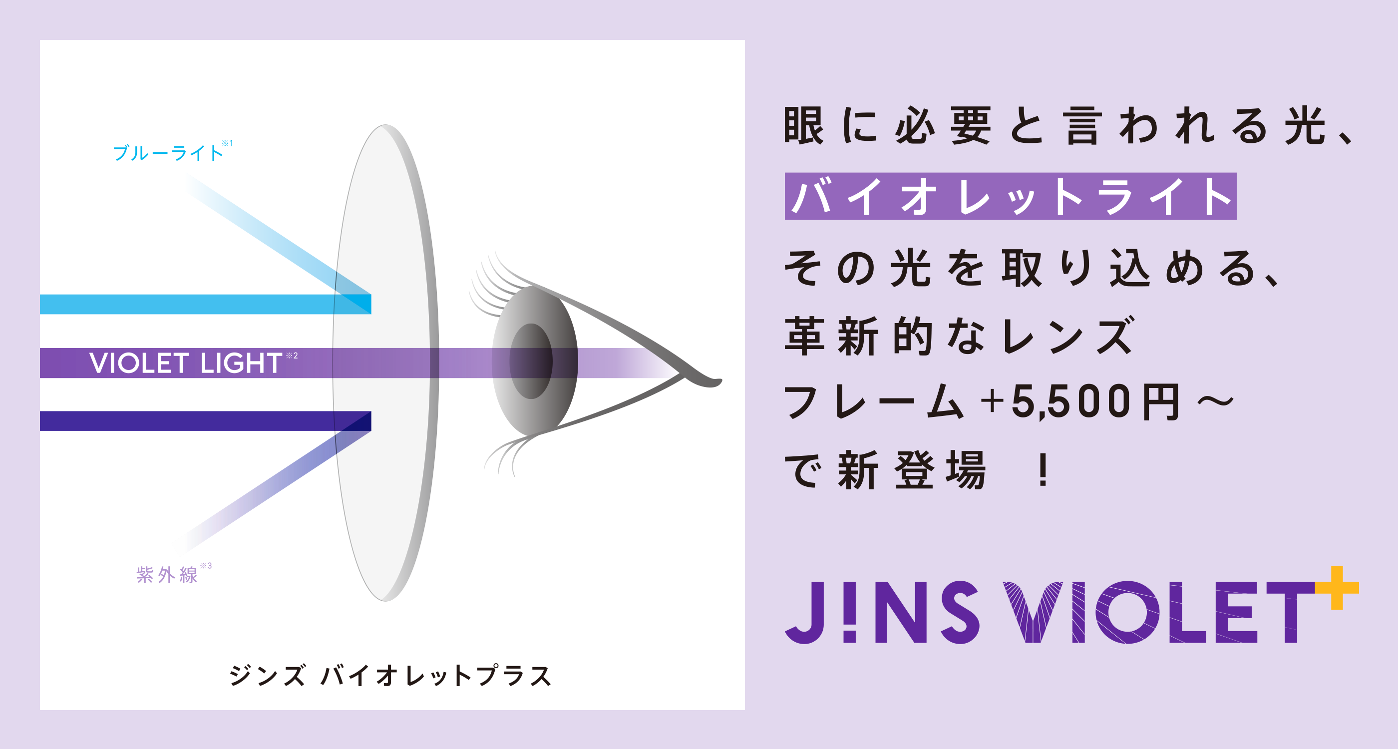 眼に役立つと言われる光、バイオレットライトを取り込める、新しいレンズフレーム+¥5,500で新登場!