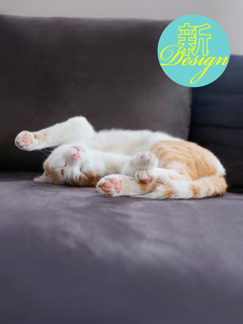 メガネ（めがね・眼鏡）のJINS『おうち時間に着替えるメガネ　JINS HOME』