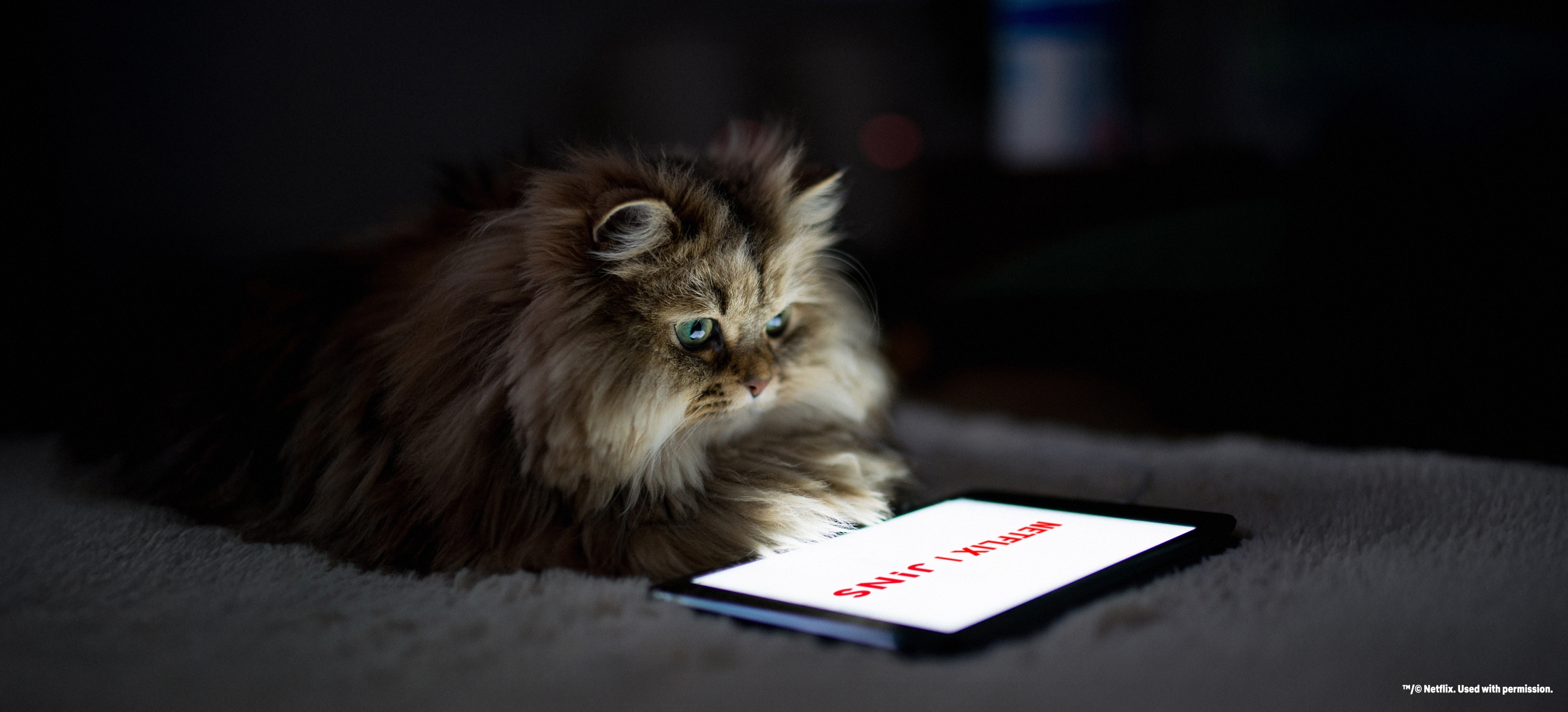 メガネ（めがね・眼鏡）のJINS『JINS HOME × Netflix』