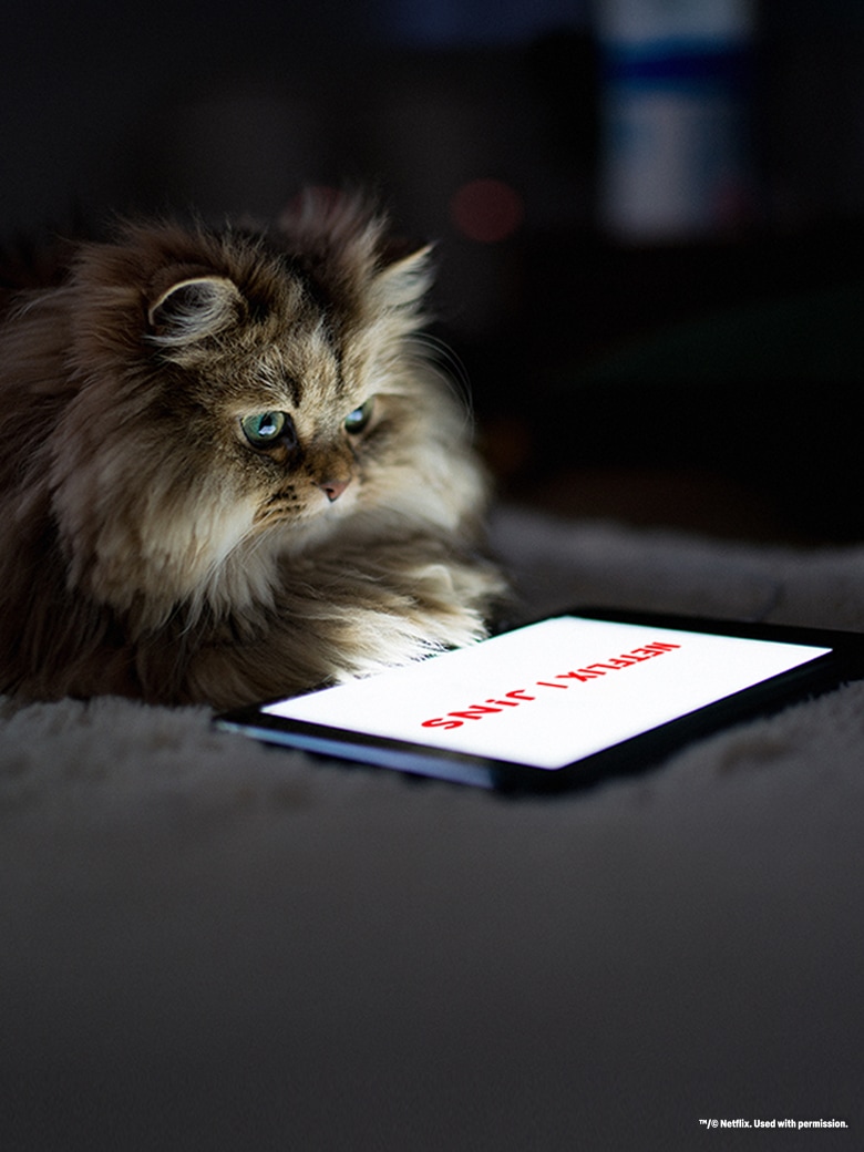 メガネ（めがね・眼鏡）のJINS『JINS HOME × Netflix』