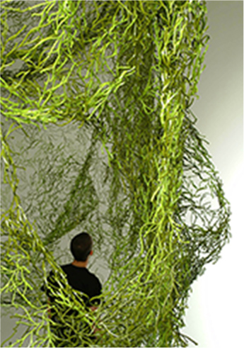 Algues, Vitra, 2004